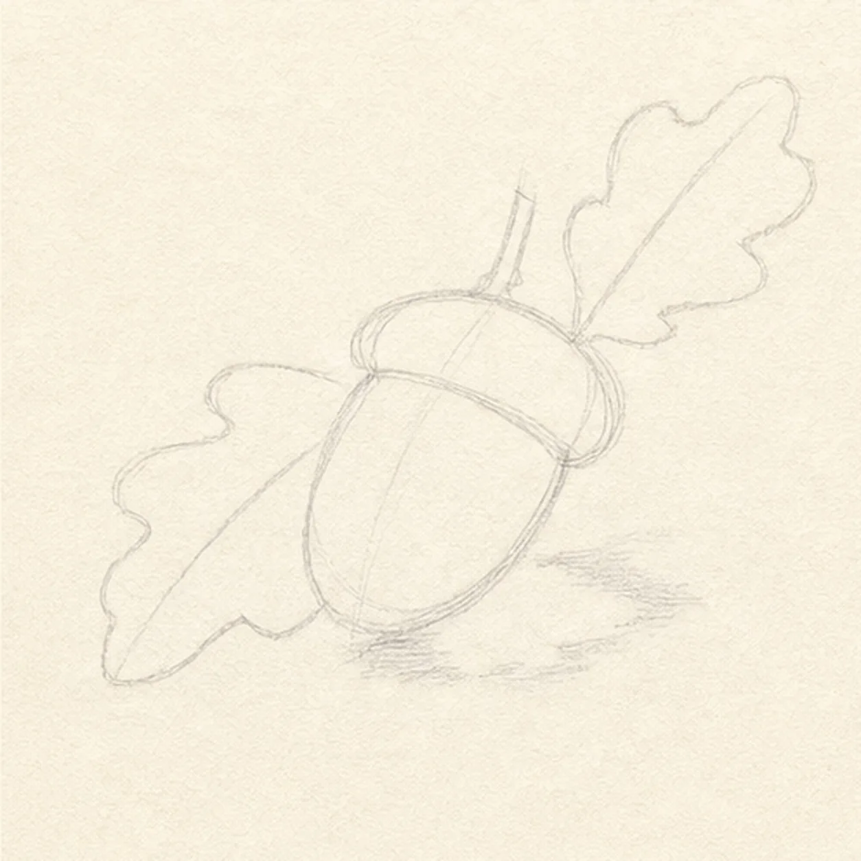 Place the acorn sprig stage for how to draw an acorn sprig