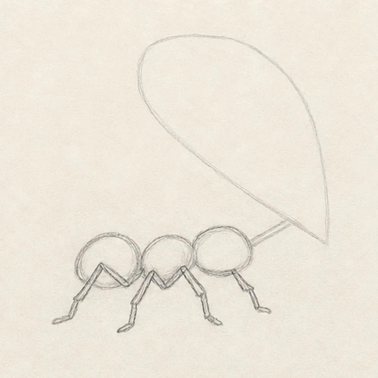 Set the six-leg walking rhythm stage for how to draw an ant carrying a leaf