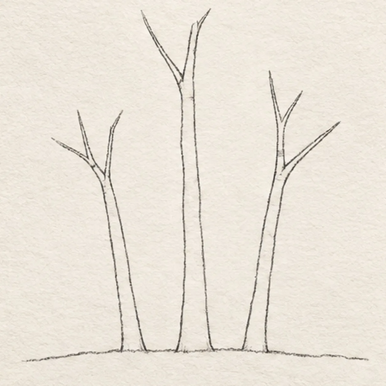 Fork the branches stage for how to draw an autumn birch grove
