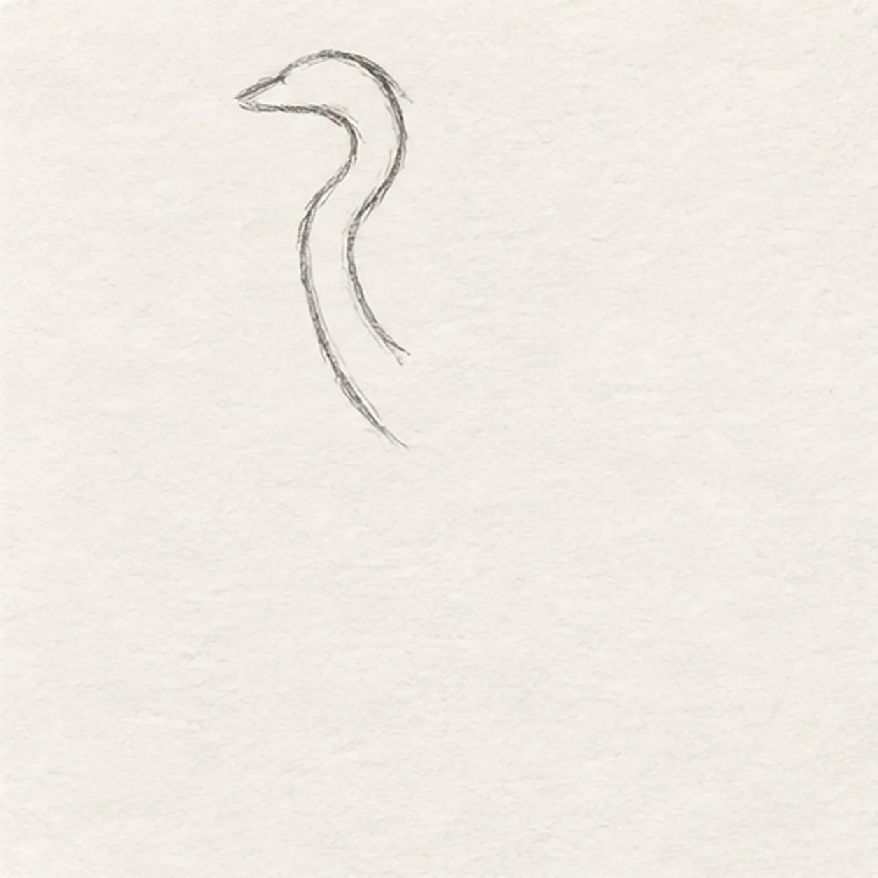 Curve the head and neck stage for how to draw a great blue heron