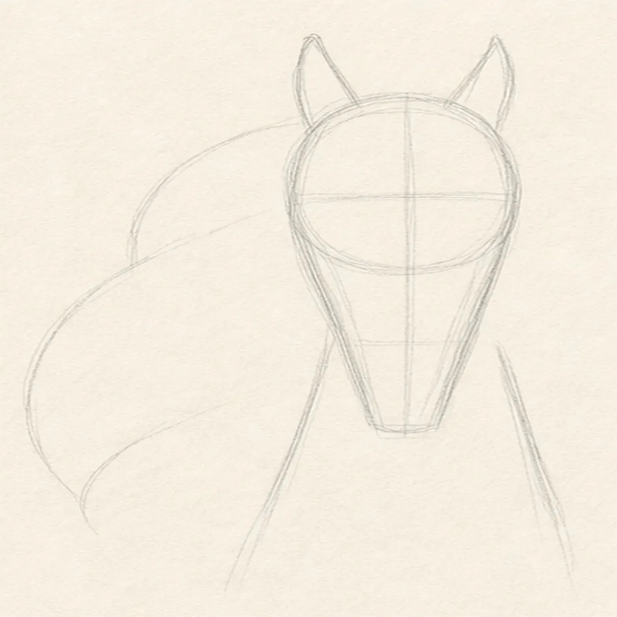 Set the head axis stage for how to draw a horse head with a flowing mane