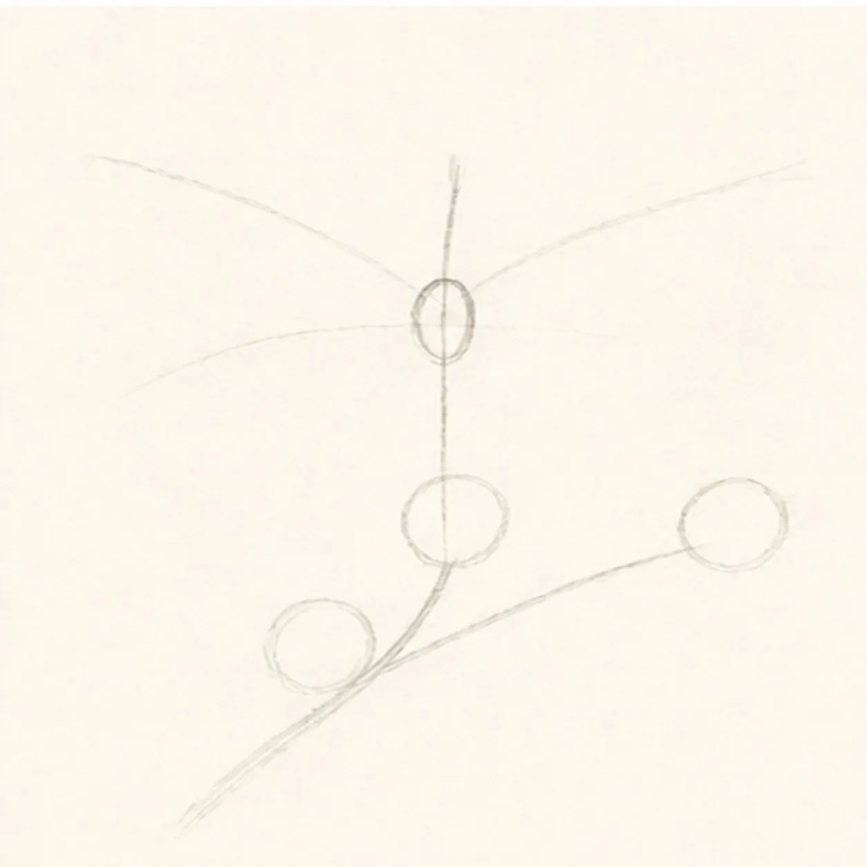 Set the flight symmetry stage for how to draw a monarch butterfly