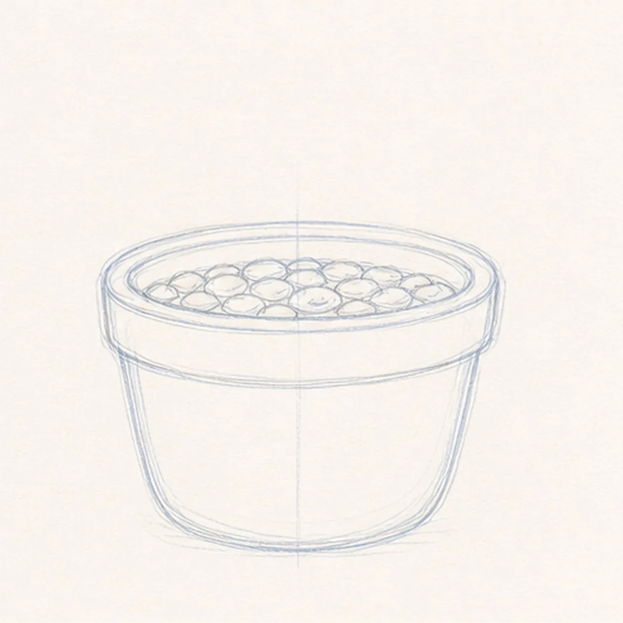 Add the soil and gravel stage for how to draw a flowering cactus