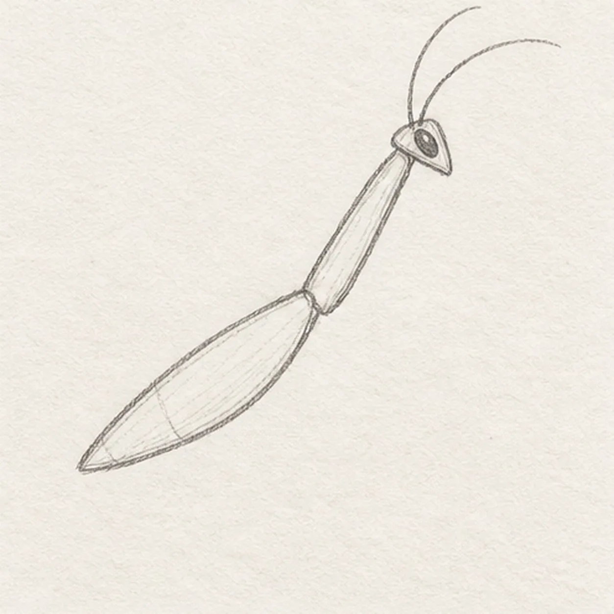 Turn the head and antennae stage for how to draw a praying mantis on a twig