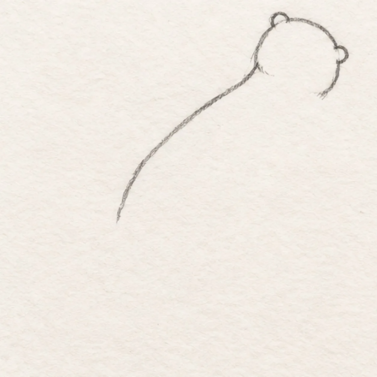 Set the floating head and back stage for how to draw a floating river otter