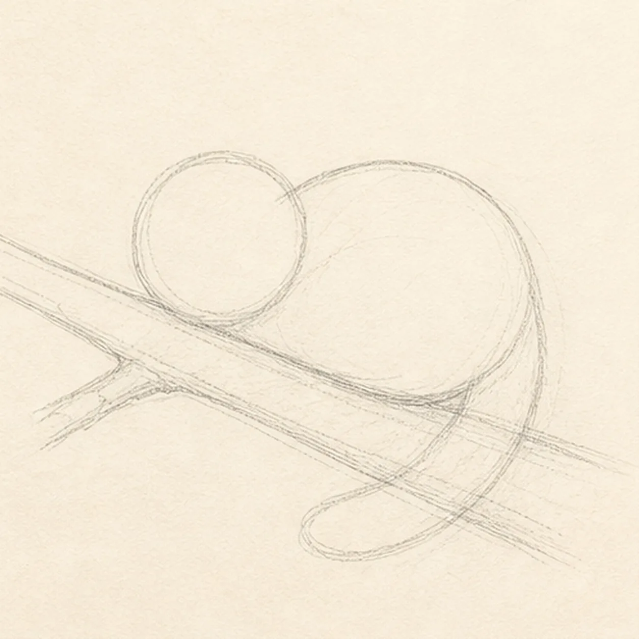 Map the branch and curl stage for how to draw a sleepy red panda