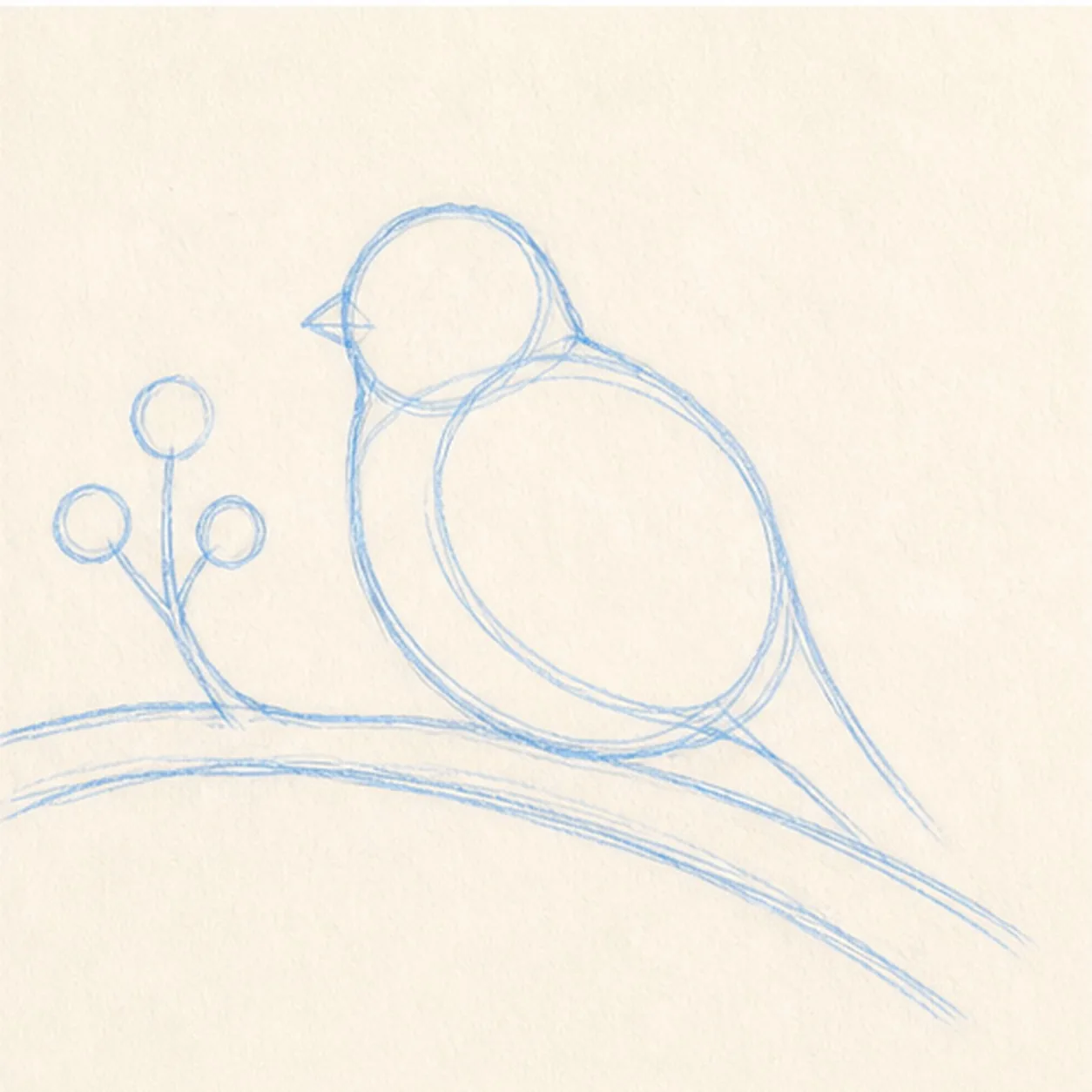 Build the bird stage for how to draw a sparrow