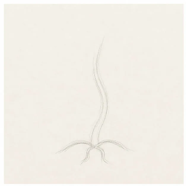 Draw the stem's path stage for how to draw a sprouting seed