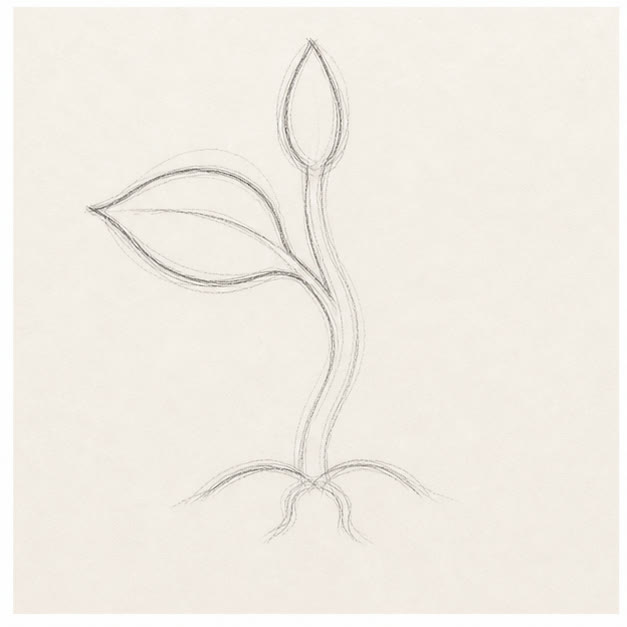Grow the left leaf stage for how to draw a sprouting seed
