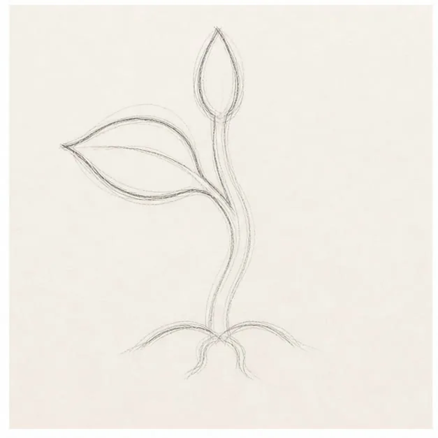 Grow the left leaf stage for how to draw a sprouting seed